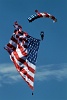 Patriotic Skydiver by Daniel Chatham Blue Ribbon (1st Place)