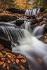 Ricketts Glen Falls by Daniel Chatham Red Ribbon (2nd Place)